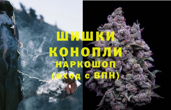 шишки Алзамай