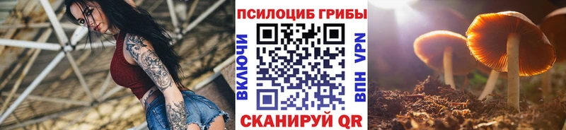Галлюциногенные грибы Psilocybine cubensis  kraken ТОР  Себеж 